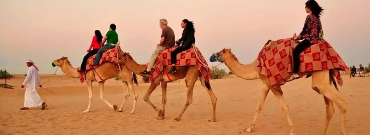 CAMEL TREKKING